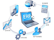  Logistics ERP system